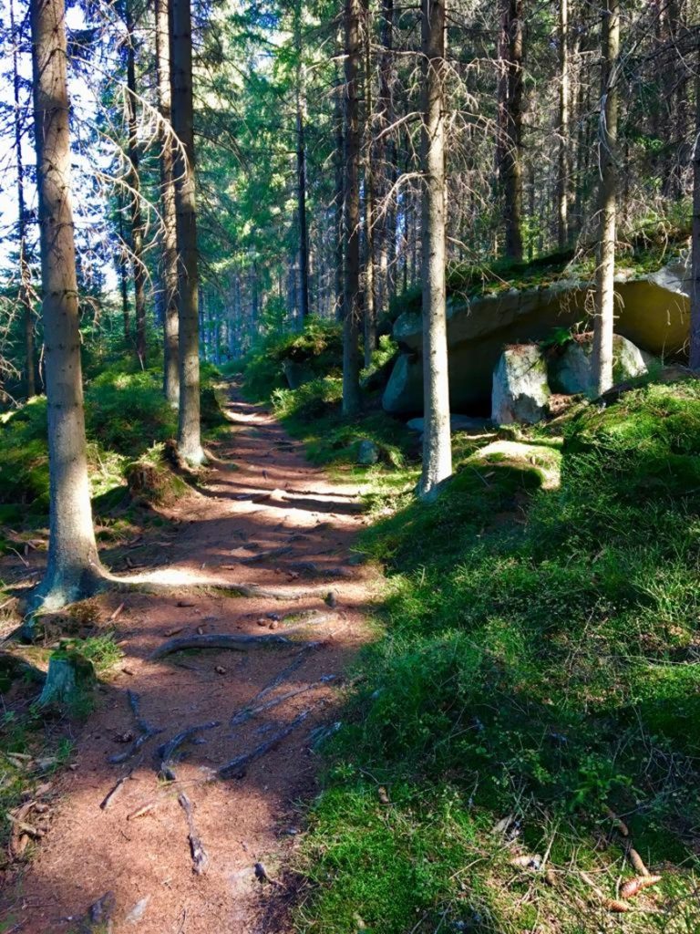 TRI Camp Frymburk II 2018