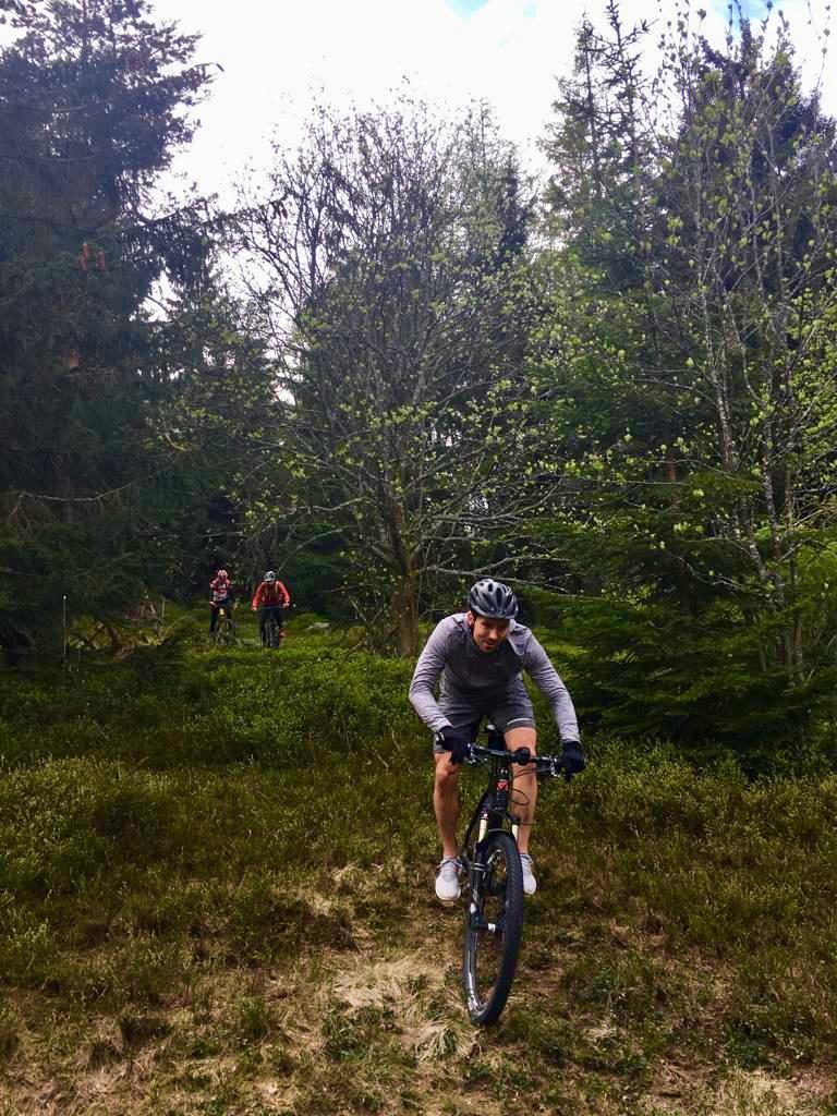 TRICAMP Frymburk 2019