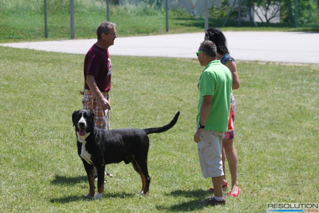 R5 – fotograf 2. 2014