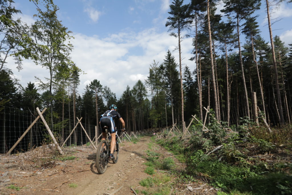 Masiv MTB 2018