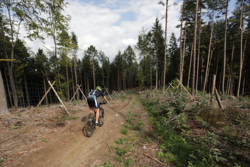 Masiv MTB 2018