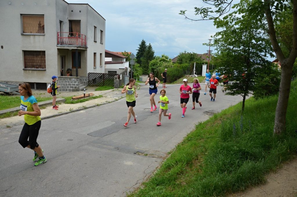 R5 – louka 2016